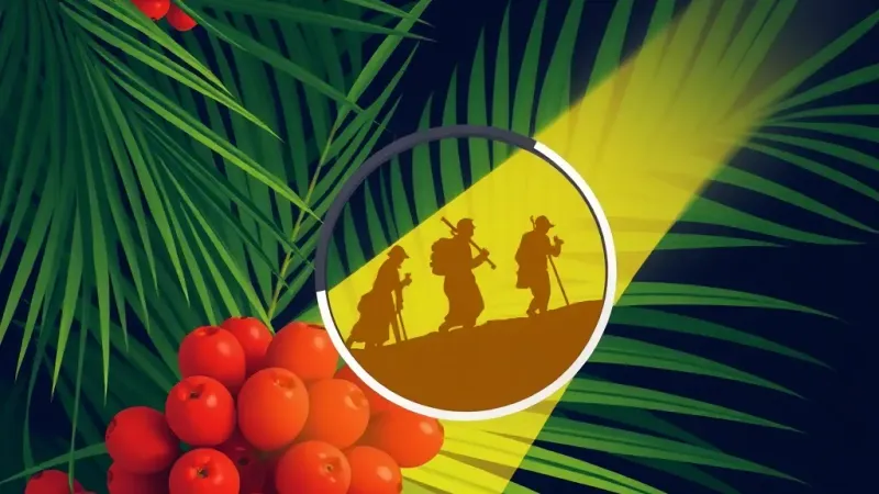 AP's Palm Oil Exposé Wins Shadid Ethics Award