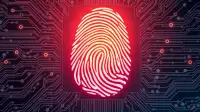 Beyond the Code: The Enduring Value of Human Ingenuity in an Automated World